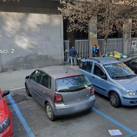 Domus Dotta New Bolonia